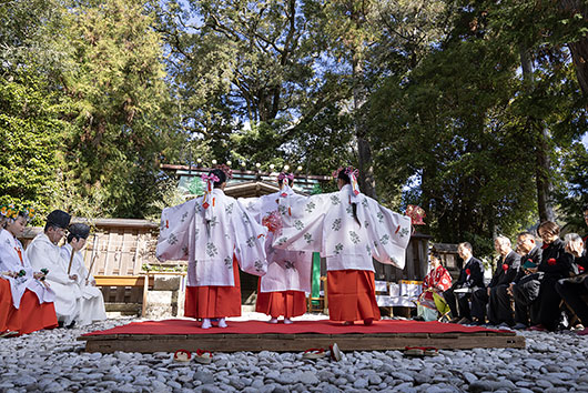 �Y�c�_�З���