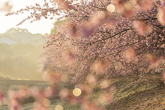 �R��^�������̉͒Í�