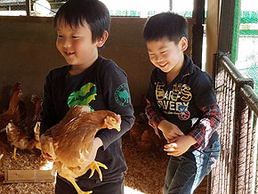 ���g���t�@�[�}�[�Y�_��