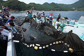 �ό���u�ԋ�