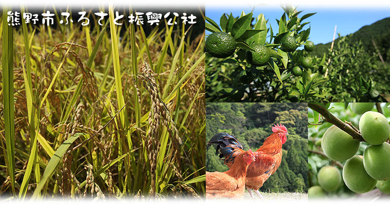 �I�a���ӂ邳�ƌ���