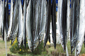 ����܊ۊ���