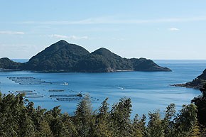 ��������ؓ��p