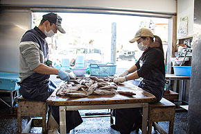 ���H��Ƃ�����Ζ{�v��